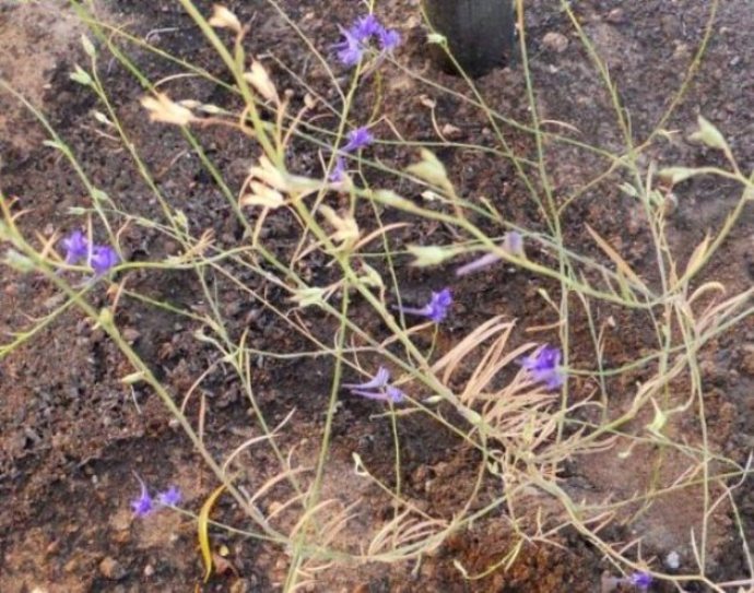 DSCN0792.JPG